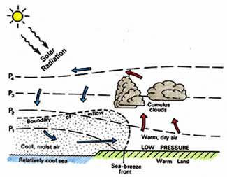 Diagram of process that creates sea breeze, or breezes that come off bodies of water and extend inland.
